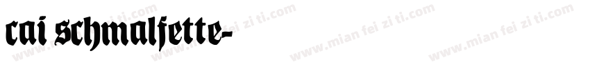 cai schmalfette字体转换